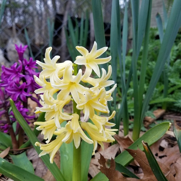 Hello! Thanks for visiting! - Picture 5 of 11